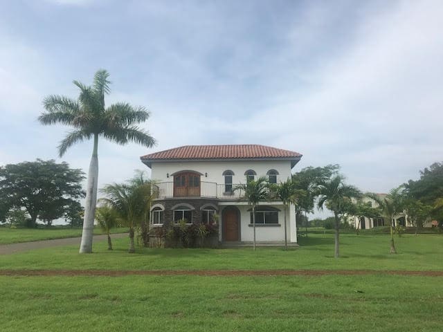 White House and palm tree