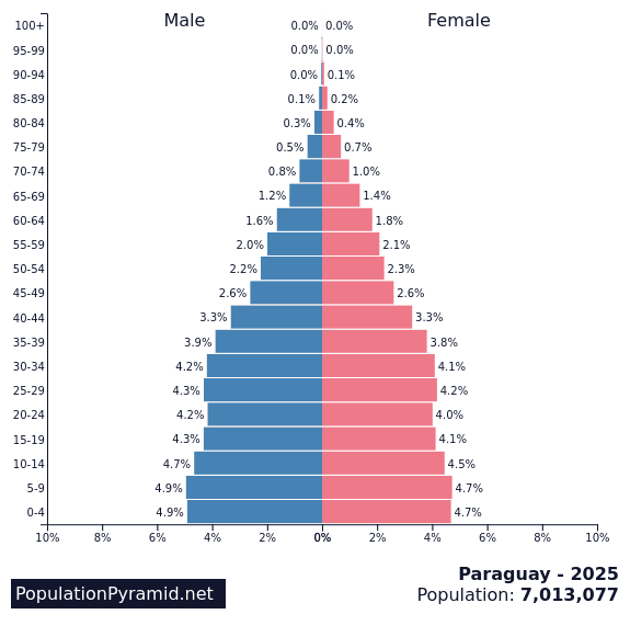 population pyramid paraguay