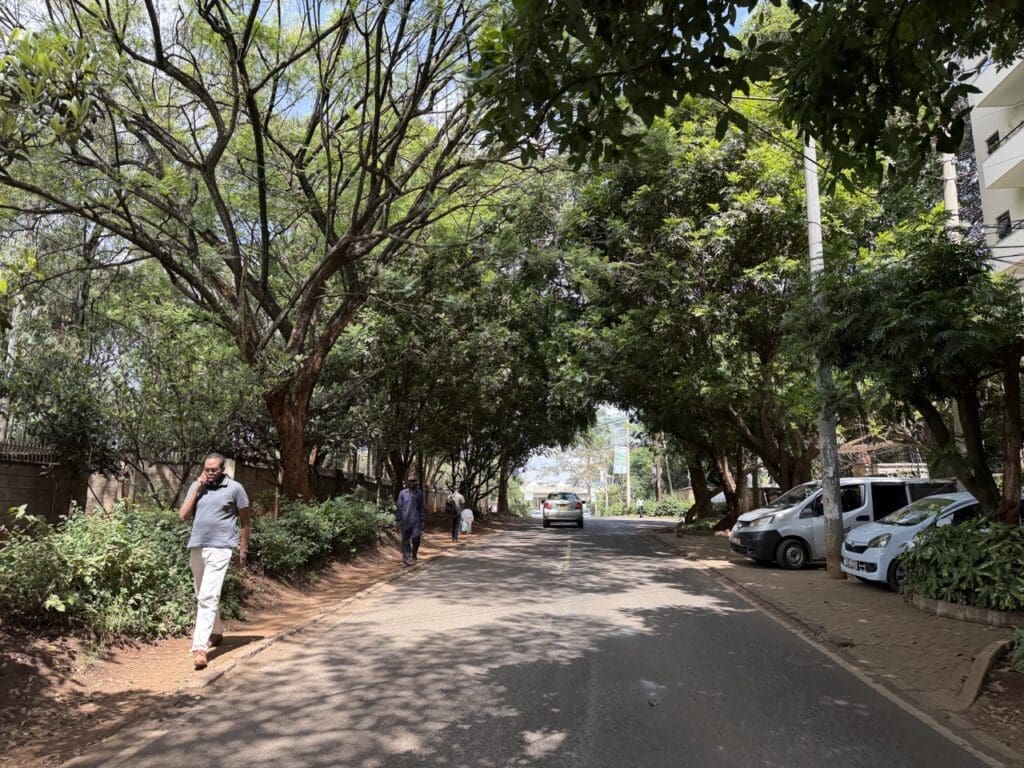 Leafy street along Raphta road, Nairobi